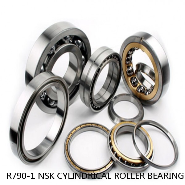 R790-1 NSK CYLINDRICAL ROLLER BEARING
