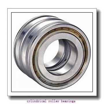 4.724 Inch | 120 Millimeter x 8.465 Inch | 215 Millimeter x 1.575 Inch | 40 Millimeter  LINK BELT MU1224UV  Cylindrical Roller Bearings