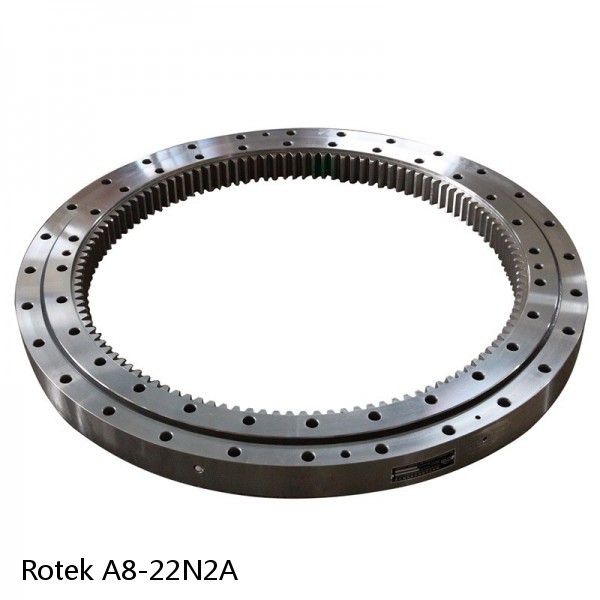 A8-22N2A Rotek Slewing Ring Bearings