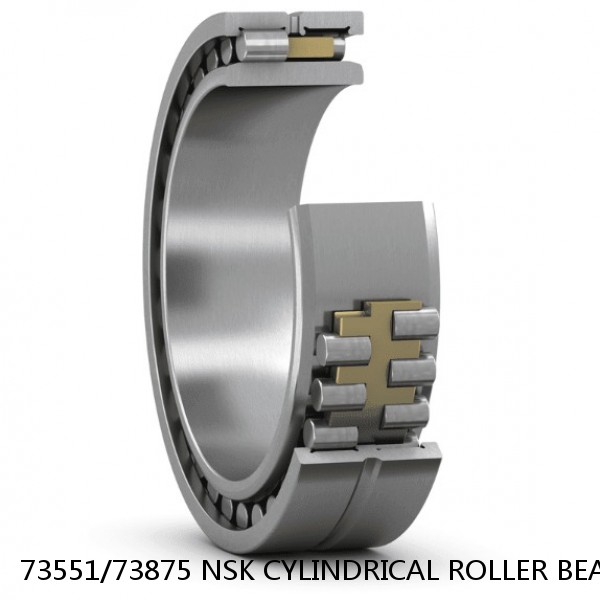 73551/73875 NSK CYLINDRICAL ROLLER BEARING