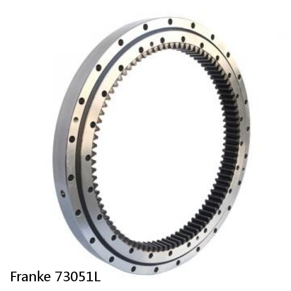 73051L Franke Slewing Ring Bearings