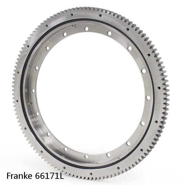 66171L Franke Slewing Ring Bearings