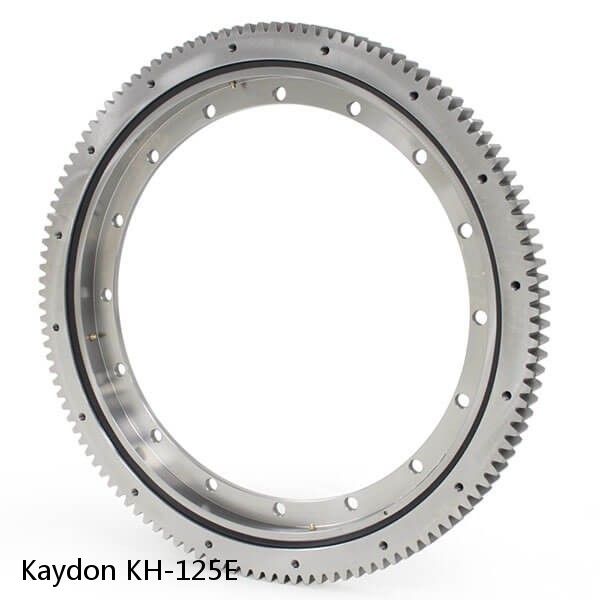 KH-125E Kaydon Slewing Ring Bearings