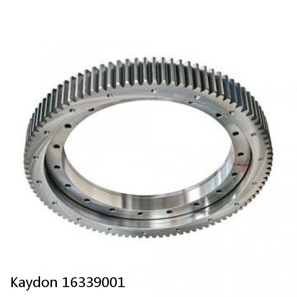 16339001 Kaydon Slewing Ring Bearings