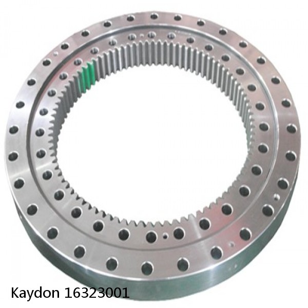 16323001 Kaydon Slewing Ring Bearings