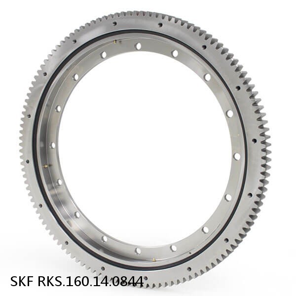 RKS.160.14.0844 SKF Slewing Ring Bearings