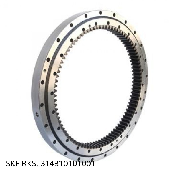 RKS. 314310101001 SKF Slewing Ring Bearings