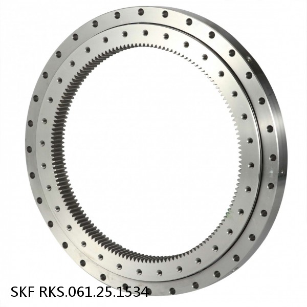 RKS.061.25.1534 SKF Slewing Ring Bearings