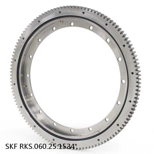 RKS.060.25.1534 SKF Slewing Ring Bearings