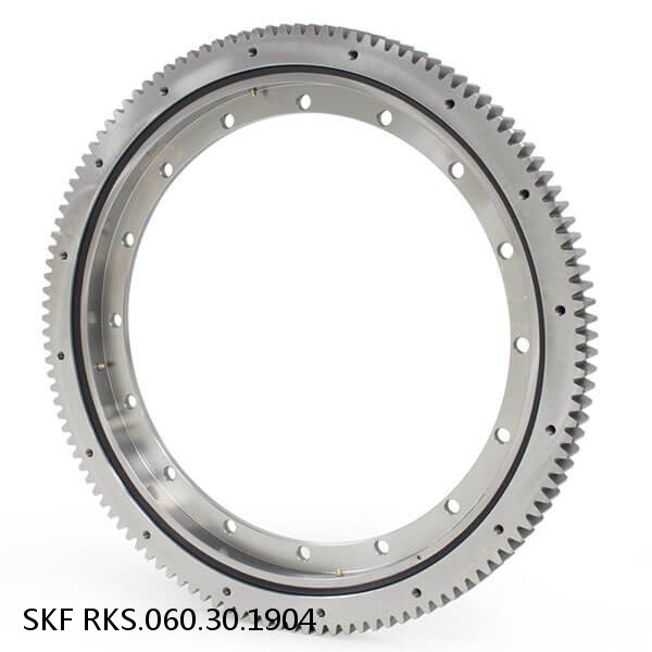 RKS.060.30.1904 SKF Slewing Ring Bearings