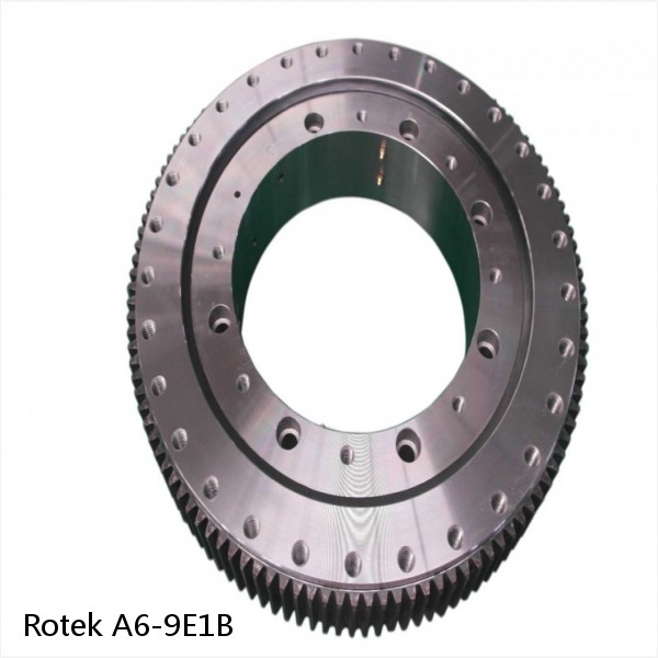 A6-9E1B Rotek Slewing Ring Bearings