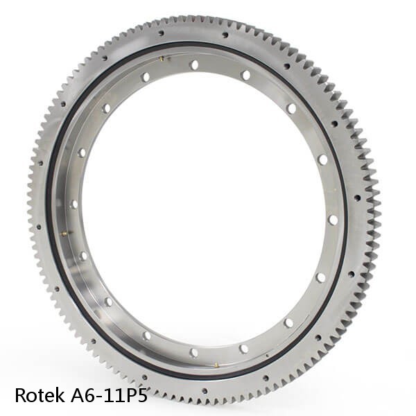 A6-11P5 Rotek Slewing Ring Bearings