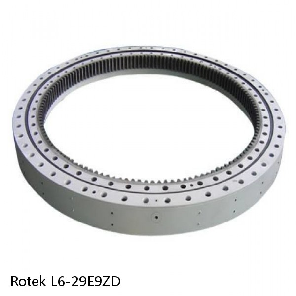 L6-29E9ZD Rotek Slewing Ring Bearings