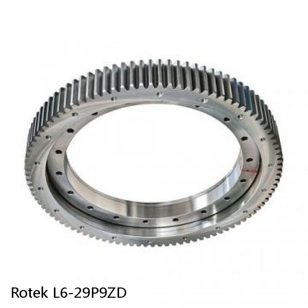 L6-29P9ZD Rotek Slewing Ring Bearings