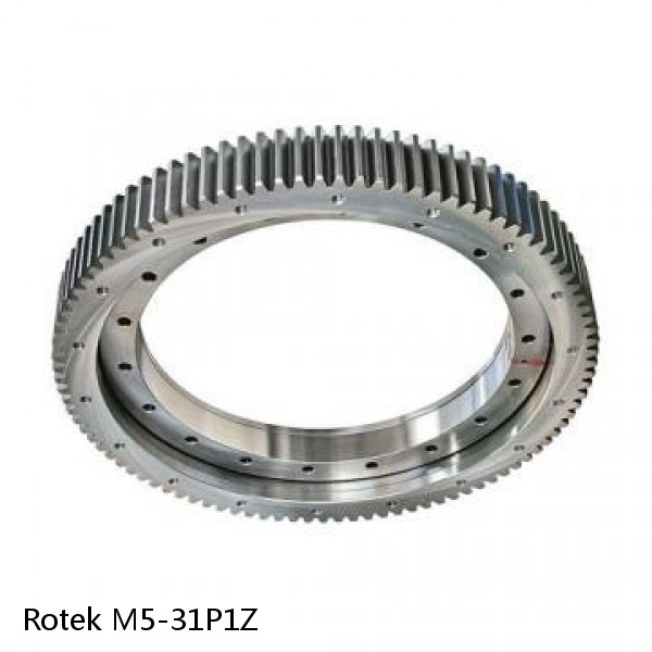 M5-31P1Z Rotek Slewing Ring Bearings