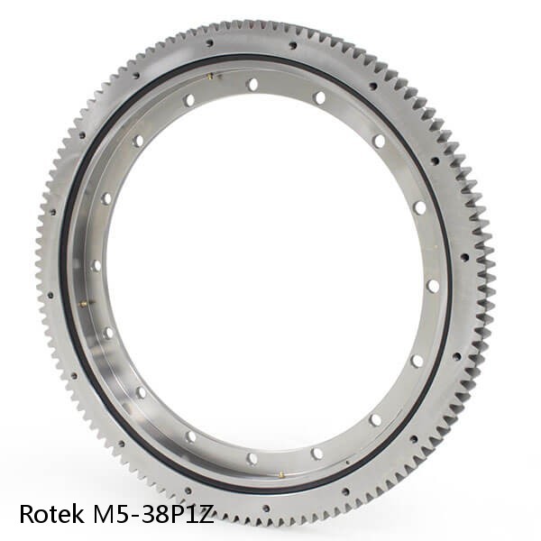 M5-38P1Z Rotek Slewing Ring Bearings