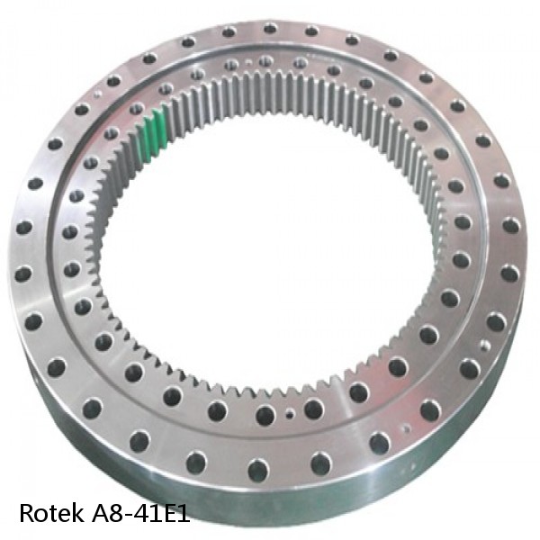 A8-41E1 Rotek Slewing Ring Bearings