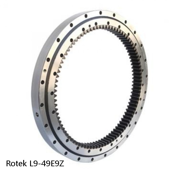 L9-49E9Z Rotek Slewing Ring Bearings